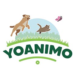 Logo YOANIMO